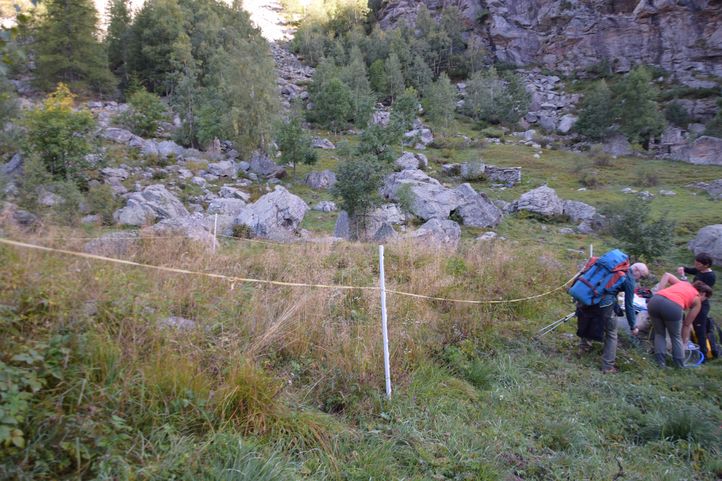 Delimitation area for non-grazed soil study (Noaschetta) Delimitation area for non-grazed soil study (Noaschetta)