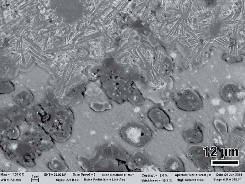 Back-scattered electron image of microtextures in a fault-generated friction melt (pseudotachylyte), resembling those of volcanic rocks.