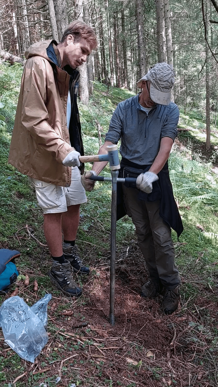 Biogeochemical study of the forest soil transition (Tesino)