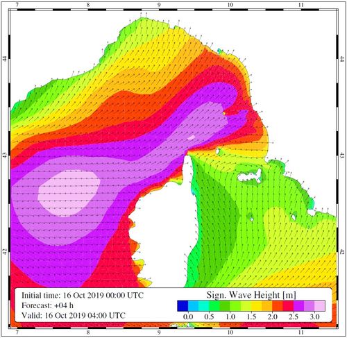 Wave height prediction model by the WWMII model produced by ISMAR-CNR 