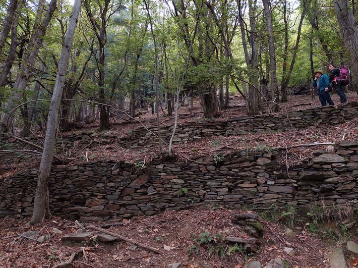 Abandoned terraces in Val Grande