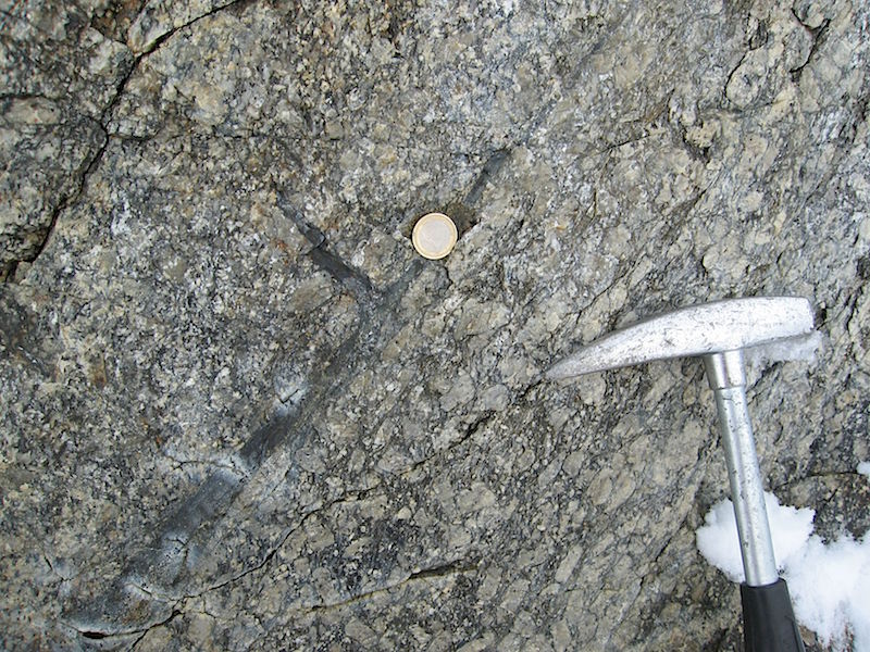 Faglia cosismica di età Eocenica (>50 Ma) che riattiva geometricamente una milonite Ordoviciana (460–440 Ma) (presso Black Ridge, in Terra Vittoria settentrionale, Antartide).