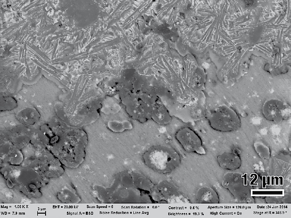 Back-scattered electron image of microtextures in a fault-generated friction melt (pseudotachylyte), resembling those of volcanic rocks. Back-scattered electron image of microtextures in a fault-generated friction melt (pseudotachylyte), resembling those of volcanic rocks.