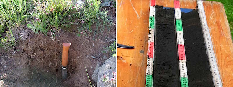 Example of a soil from Alpine grassland. On the right, core from a lake.