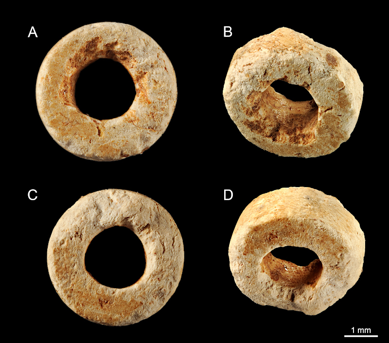 Perlina in Enstatite rinvenuta nel sito archeologico di Loppio (TN). La formula cristallochimica ricavata dall’analisi chimica di frammenti micrometrici della perlina, inglobati in resina e spianati, ha permesso di identificare il materiale come Enstati