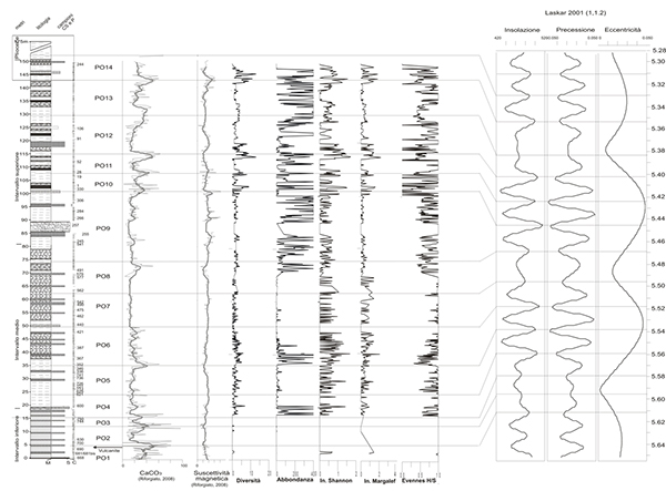 Synthetic curves for the cyclostratigraphic study of Messinian Cava Serredi section.