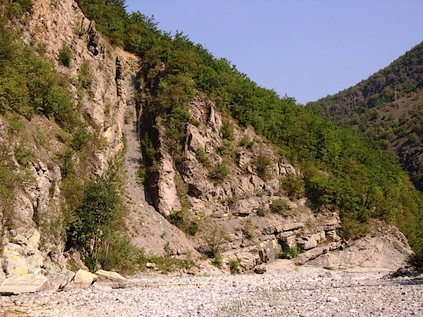Mt. Antola Flysch in the Trebbia Valley area (Piacenza Apennine).