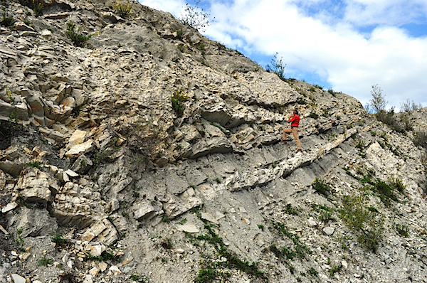 Sampling of the Val Luretta Flysch along Luretta Valley (Piacenza Apennine).