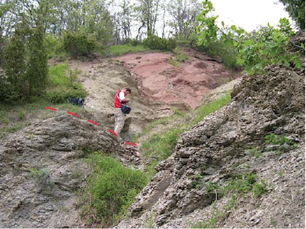 Tectonic contact between Acquerino and Carigiola units along Tavaiano Creek (Futa Pass, Tuscan-Emilian Apennine).