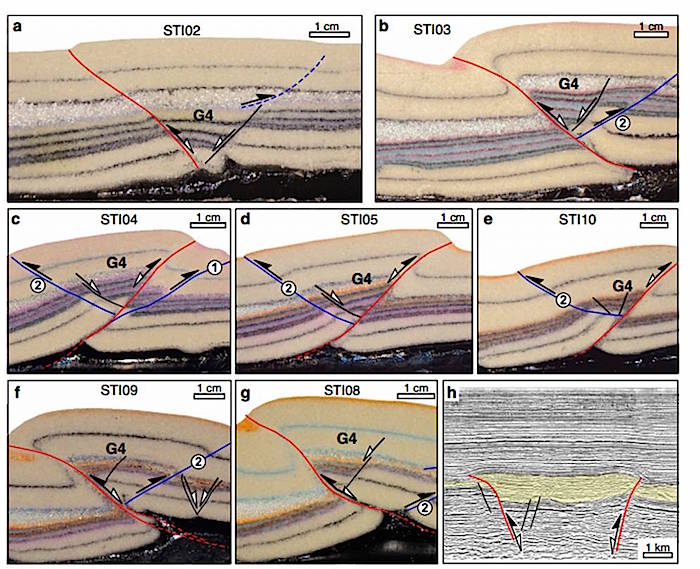 Inversion tectonics models