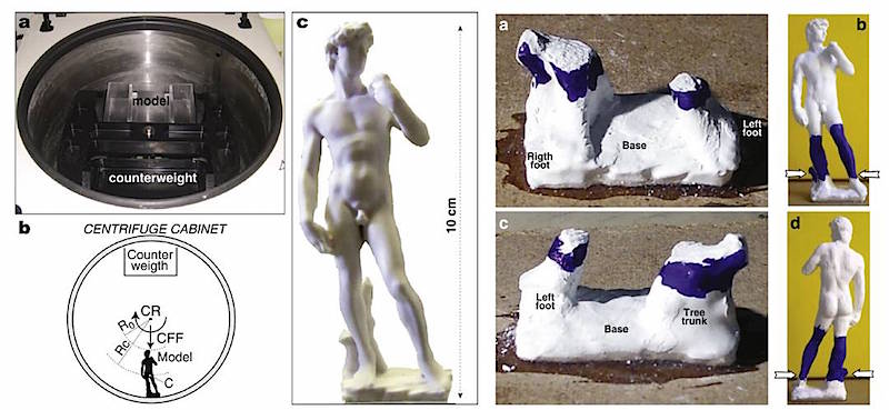Centrifuge models investigating the stability of Michelangelo's David