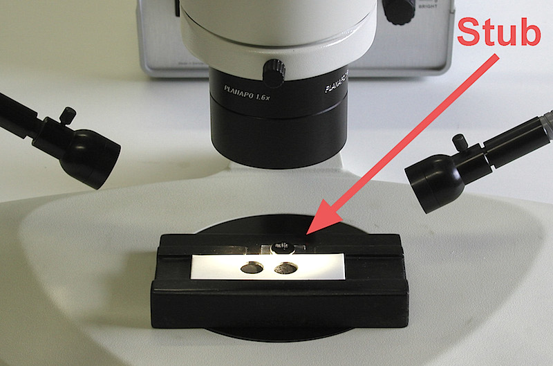 Mounting the radiolarians on an aluminum stub for scanning electron microscope