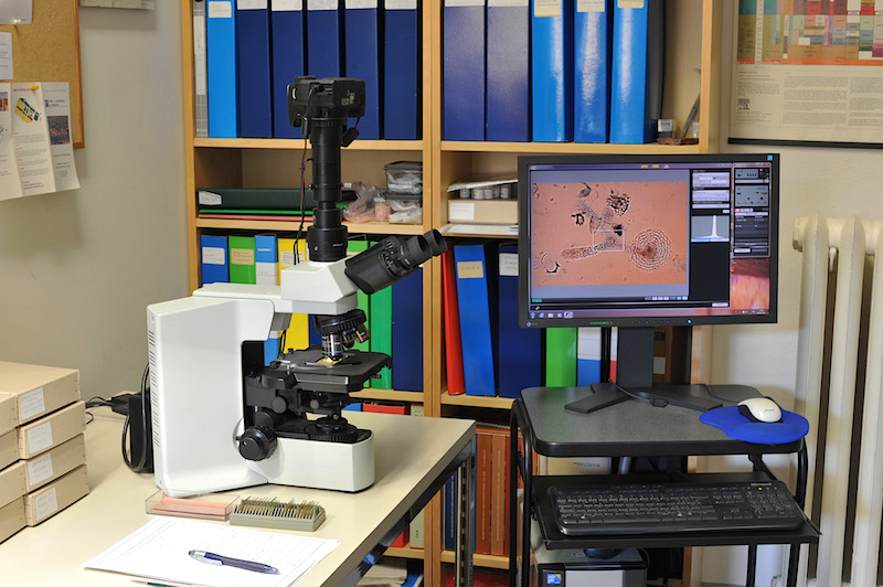 Microscopio OLYMPUS BX51 Microscopio OLYMPUS BX51
