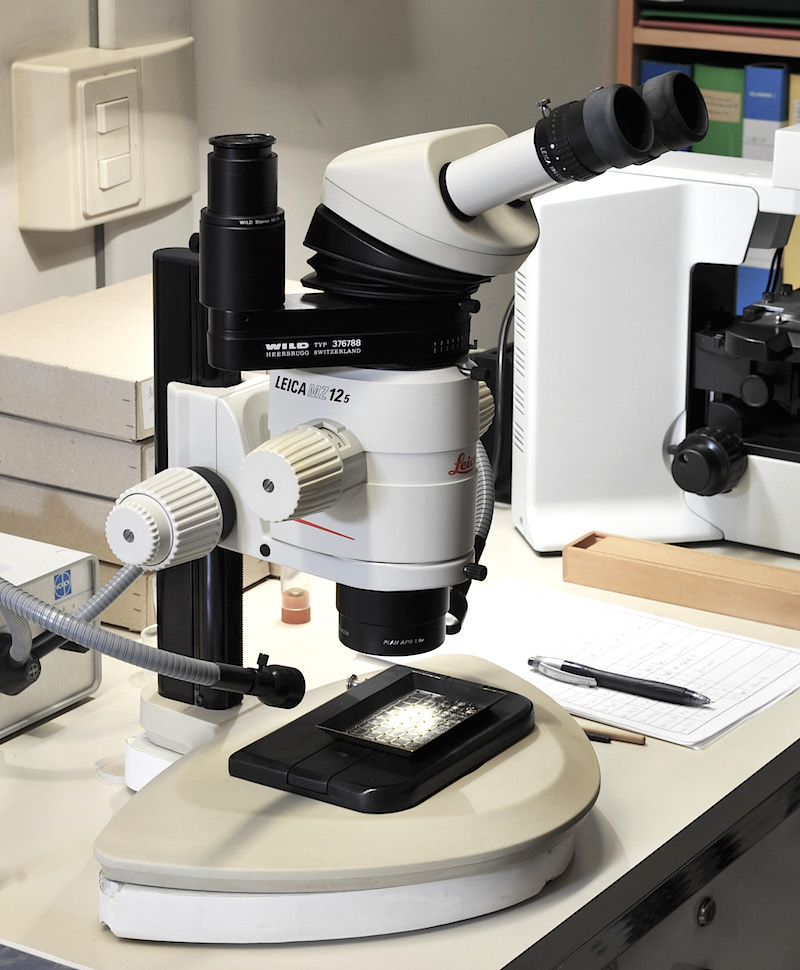 Microscopio LEICA MZ12.5 Microscopio LEICA MZ12.5
