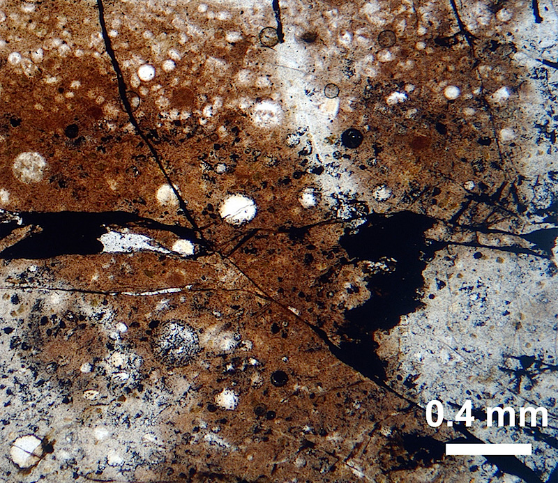 Thin section of a radiolarites (Chiari et al., 2013)