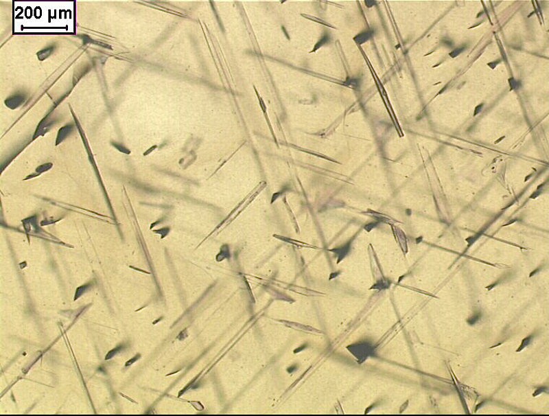 Microfotografia di aghi di pirosseno prismatici, orientati cristallograficamente, in granati. Studiando campioni di peridotiti orogeniche rinvenute a Otrøy (Norvegia occidentale) si è trovato che le microstrutture di decompressione presenti nel granato 