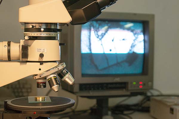 Sistema di osservazione del campione ad elevato ingrandimento, costituito da un microscopio ottico (luce riflessa e trasmessa), collegato ad una telecamera e monitor, con cui è possibile visualizzarne la superficie e produrre istantaneamente micrografie 