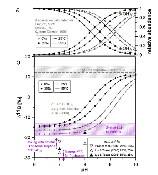 Relationships between B isotope composition and fluid pH