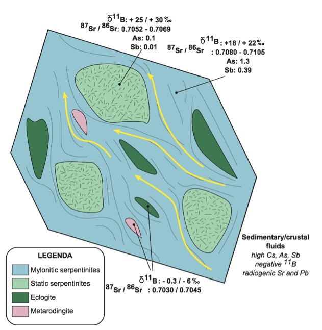 Sr and B isotopes in a serpentinitic accreted at slab-mantle interface