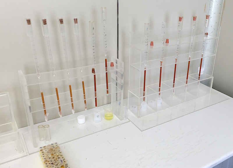 Cationic resin columns for Cr separation (first 4 from the left) and symultaneous Rb-Sr-REE separation (the other 7 columns)