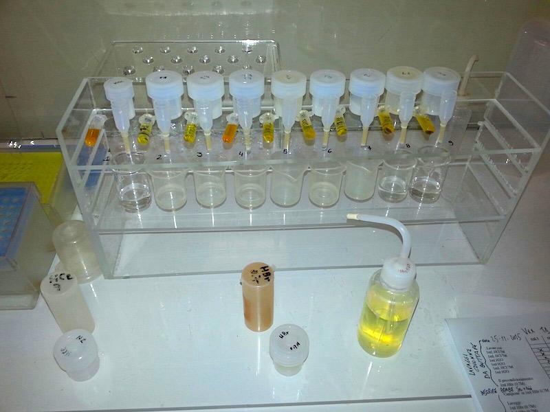 Micro-columns for Pb separation (processed inside hood)