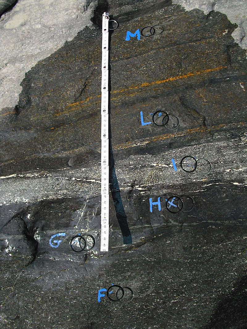 Campionamento di rocce milonitiche di alta temperature (Finero, Zona Ivrea-Verbano, Italia)