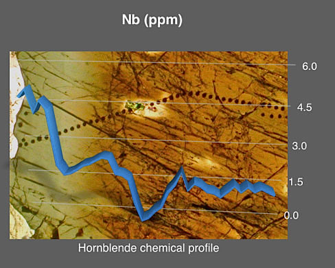 Variazione della concentrazione del Nd (ppm) in una traversa analitica da nucleo a bordo di un anfibolo zonato, da bruno a verde, e con una inclusione di clinopirosseno