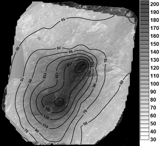 contour map of the 238U distribution (ppm) of a mm-size zircon grain (60 analyses with a diameter of 50μm)