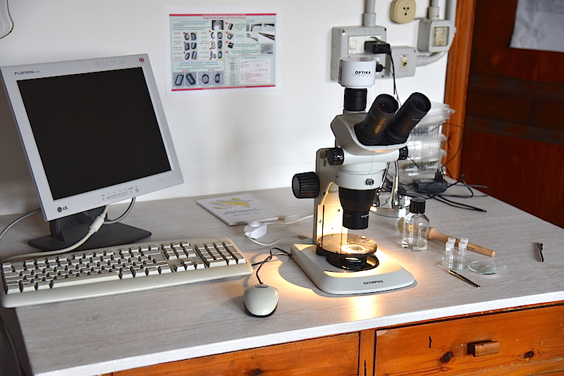 Stereomicroscope for apatite grain selection and measure for U-Th/He dating. 